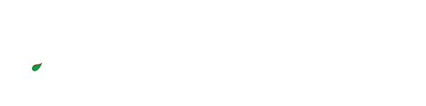 Dr Y Rami Reddy